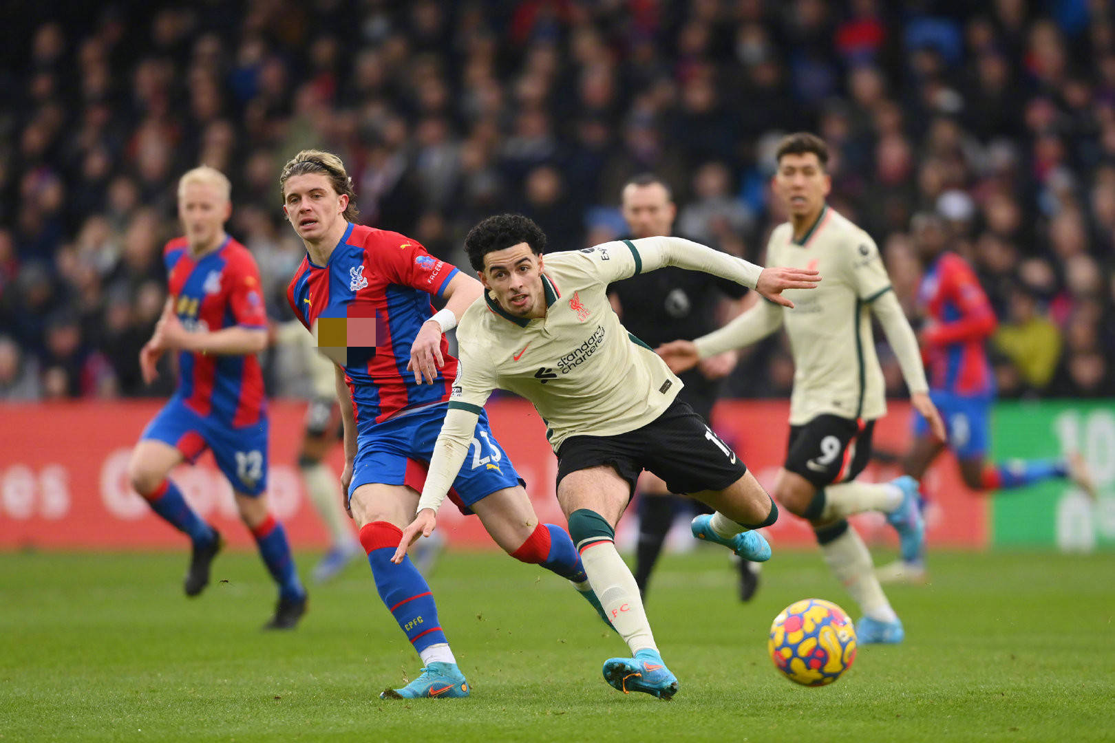 大明智之举 大明智之举